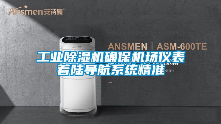 工业91抖音免费看片确保机场仪表着陆导航系统精准