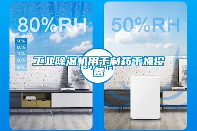工业91抖音免费看片用于制药干燥设备
