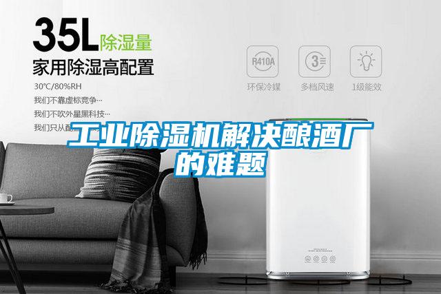 工业91抖音免费看片解决酿酒厂的难题
