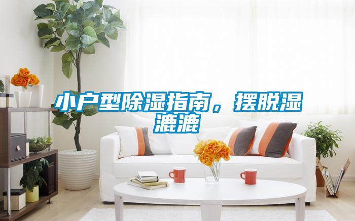 小户型除湿指南，摆脱湿漉漉