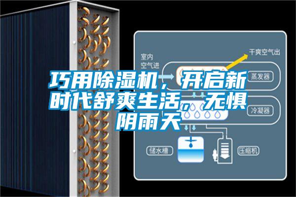 巧用91抖音免费看片，开启新时代舒爽生活，无惧阴雨天