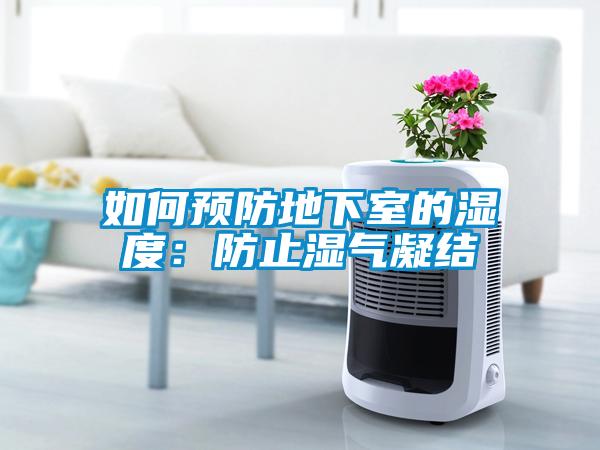 如何预防地下室的湿度：防止湿气凝结