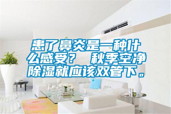 患了鼻炎是一种什么感受？ 秋季空净除湿就应该双管下。