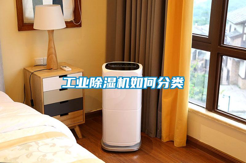 工业91抖音免费看片如何分类