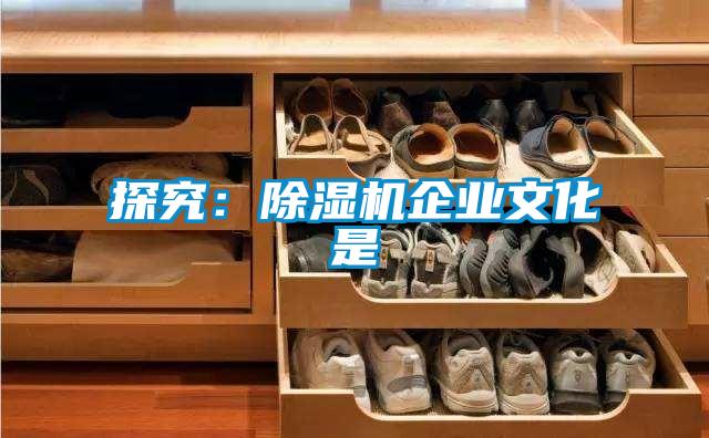 探究：91抖音免费看片企业文化是