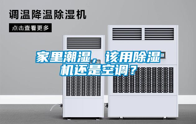 家里潮湿，该用91抖音免费看片还是空调？