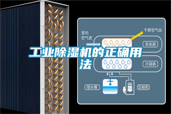 工业91抖音免费看片的正确用法
