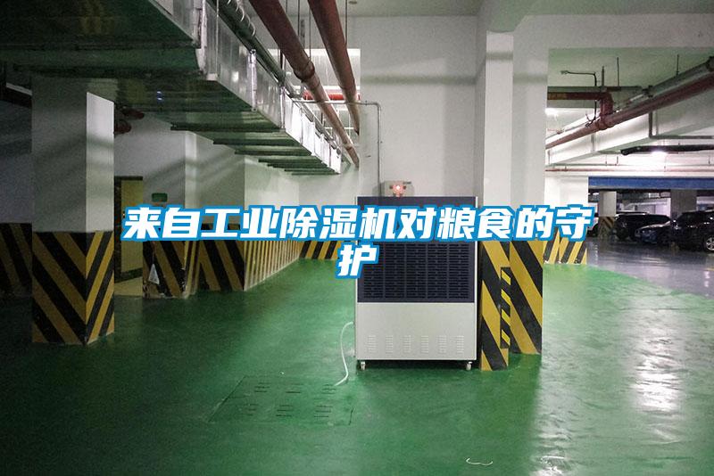 来自工业91抖音免费看片对粮食的守护