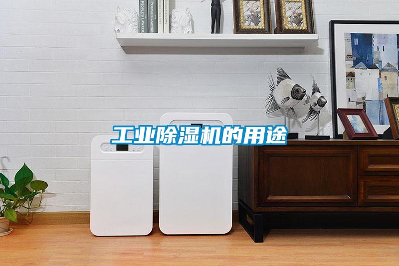 工业91抖音免费看片的用途