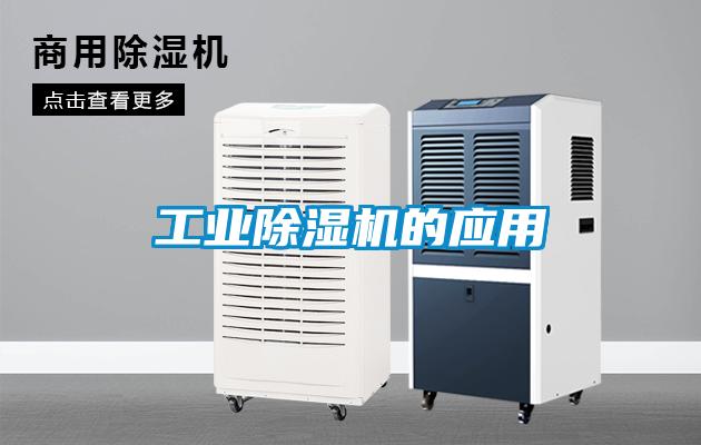 工业91抖音免费看片的应用
