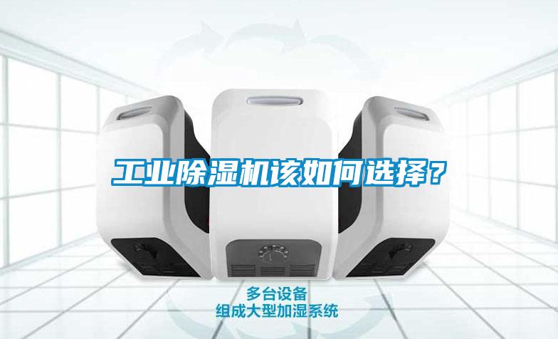 工业91抖音免费看片该如何选择？