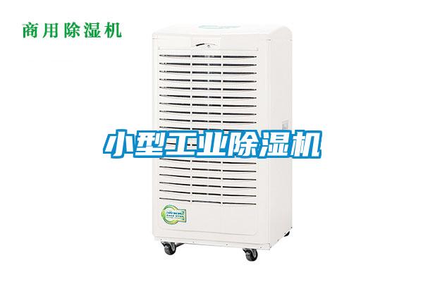 小型工业91抖音免费看片
