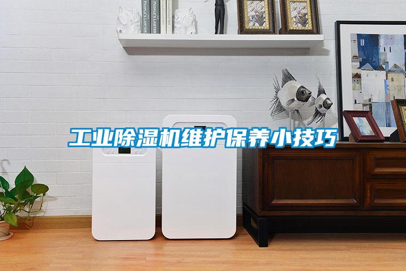 工业91抖音免费看片维护保养小技巧