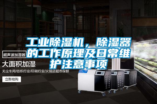 工业91抖音免费看片，除湿器的工作原理及日常维护注意事项