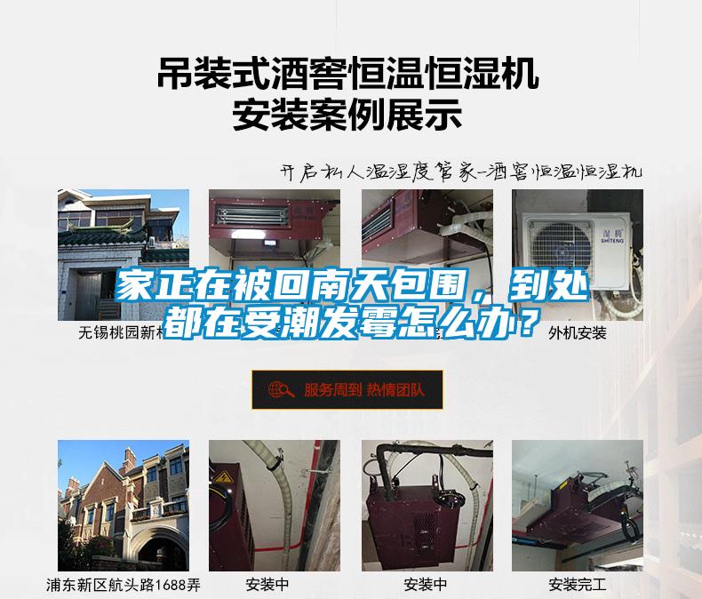 家正在被回南天包围，到处都在受潮发霉怎么办？