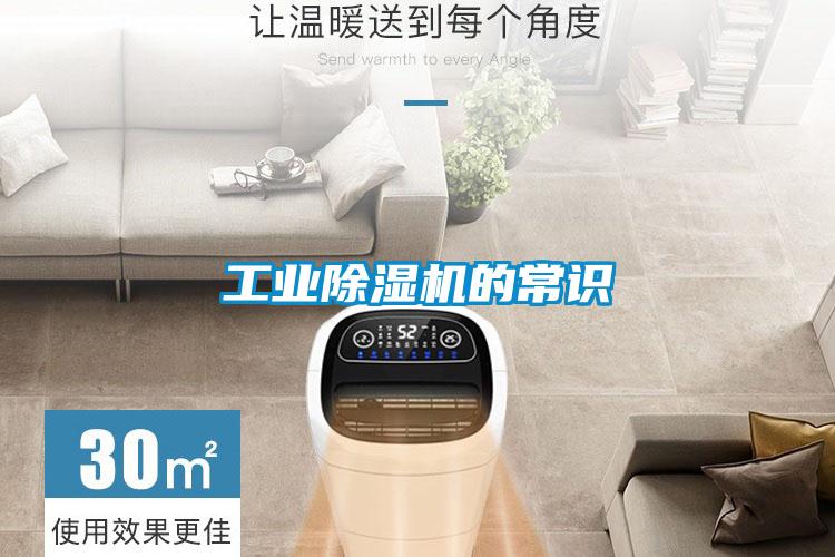 工业91抖音免费看片的常识