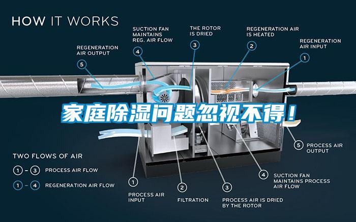 家庭除湿问题忽视不得！