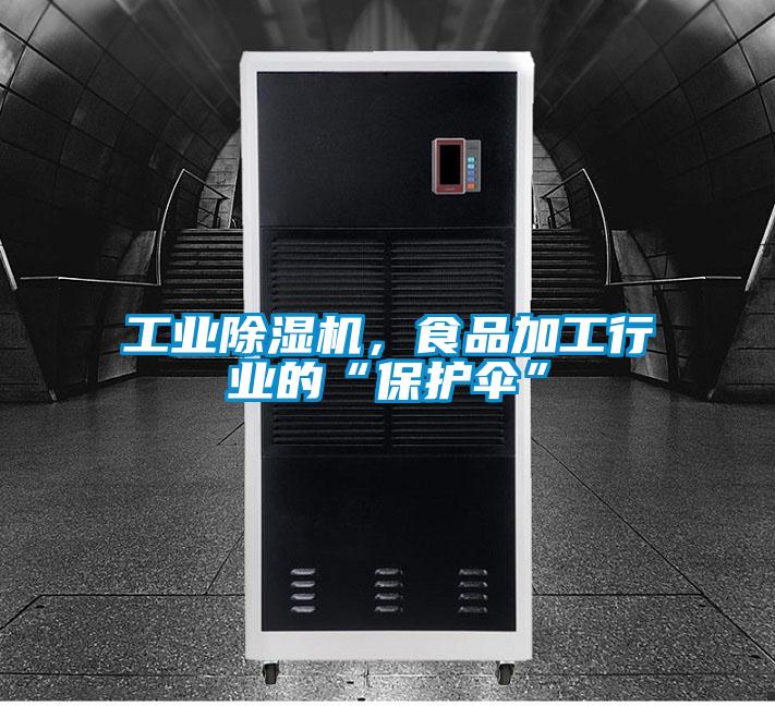 工业91抖音免费看片，食品加工行业的“保护伞”