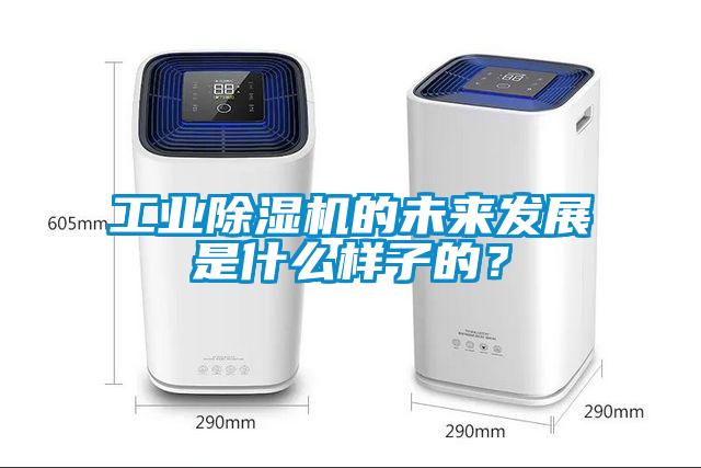 工业91抖音免费看片的未来发展是什么样子的？