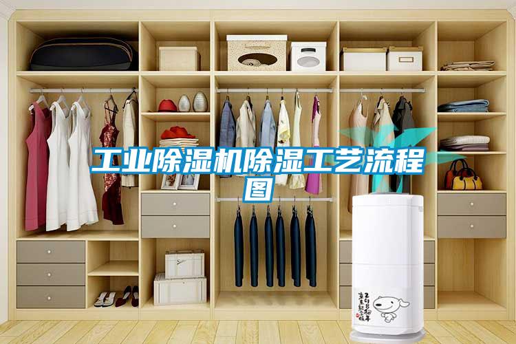 工业91抖音免费看片除湿工艺流程图