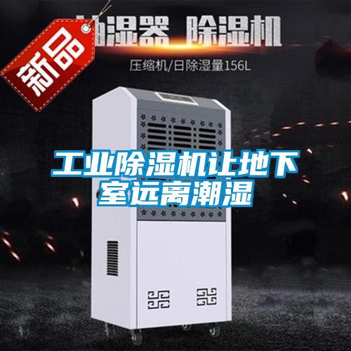 工业91抖音免费看片让地下室远离潮湿