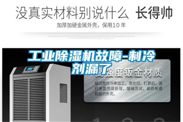 工业91抖音免费看片故障-制冷剂漏了