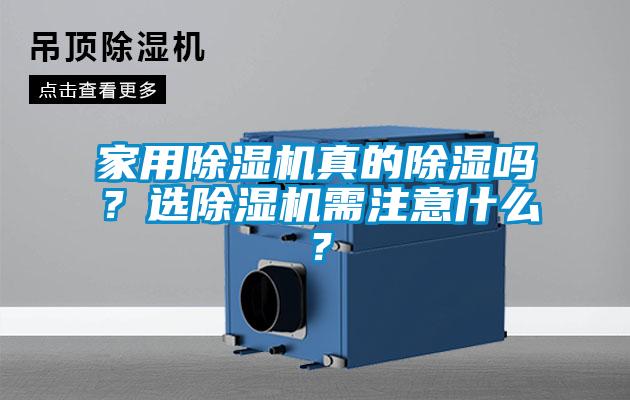 家用91抖音免费看片真的除湿吗？选91抖音免费看片需注意什么？
