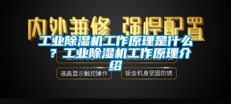 工业91抖音免费看片工作原理是什么 ？工业91抖音免费看片工作原理介绍
