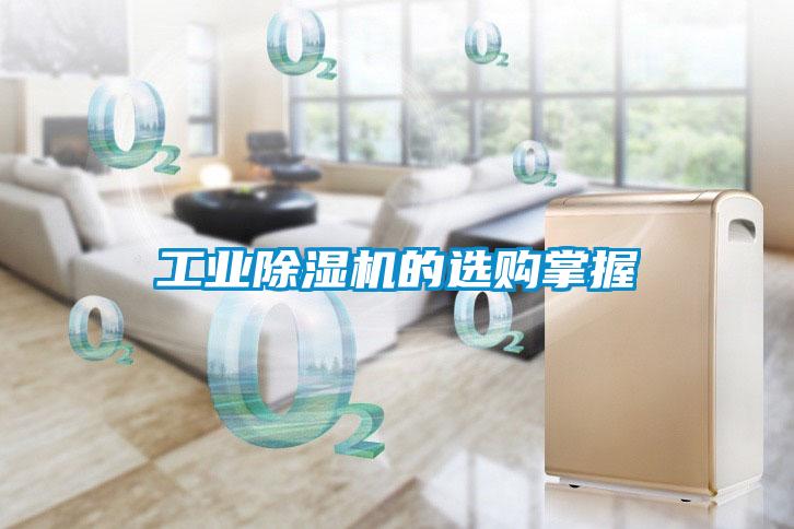 工业91抖音免费看片的选购掌握