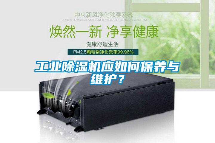 工业91抖音免费看片应如何保养与维护？