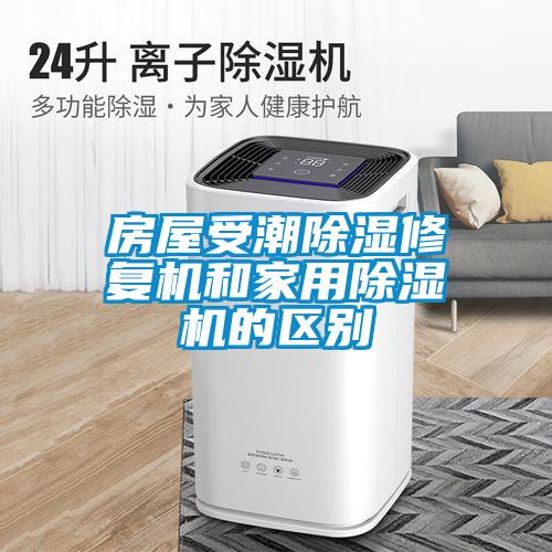 房屋受潮除湿修复机和家用91抖音免费看片的区别