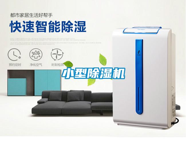 小型91抖音免费看片
