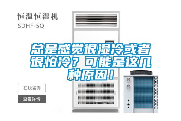 总是感觉很湿冷或者很怕冷？可能是这几种原因！