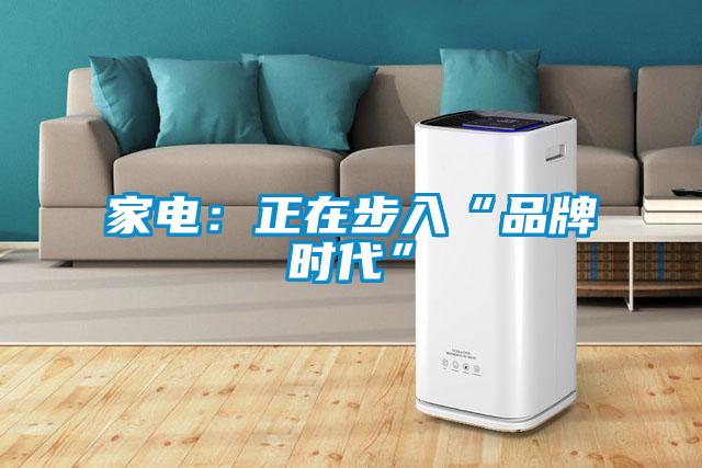家电：正在步入“品牌时代”