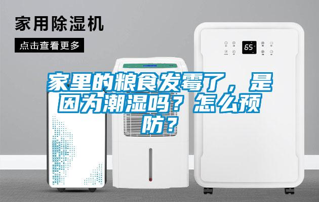 家里的粮食发霉了，是因为潮湿吗？怎么预防？