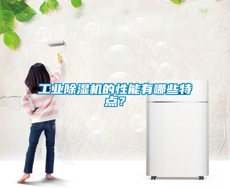 工业91抖音免费看片的性能有哪些特点？