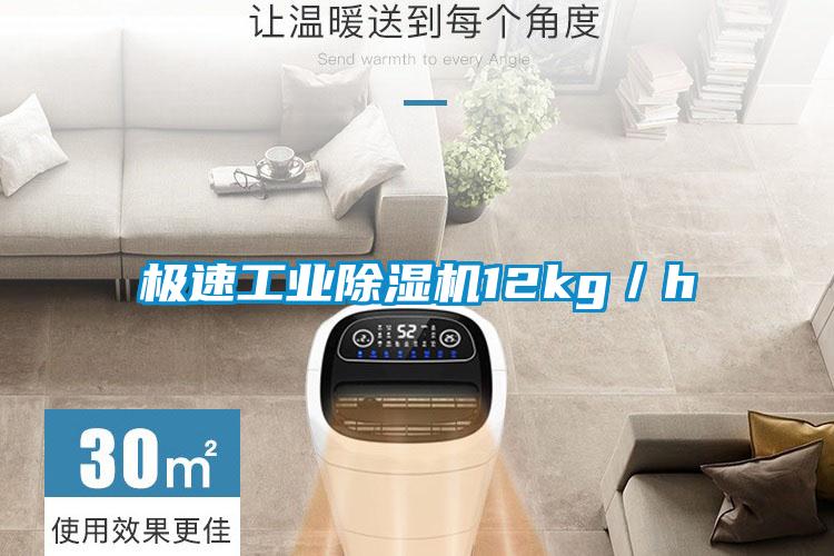 极速工业91抖音免费看片12kg／h