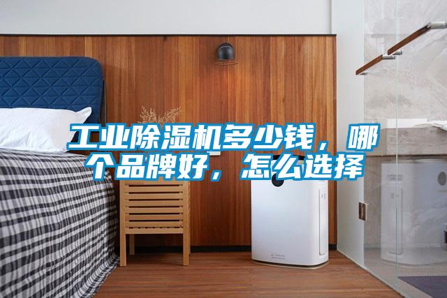 工业91抖音免费看片多少钱，哪个品牌好，怎么选择