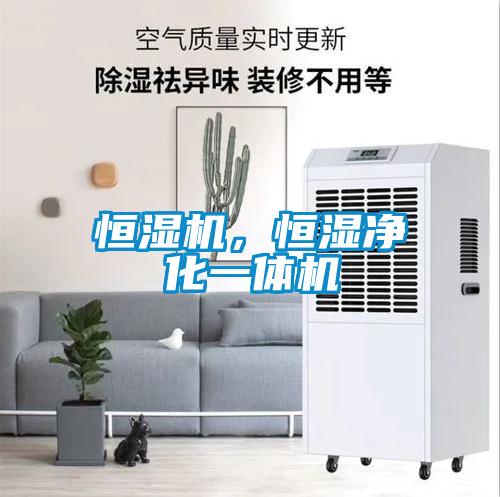 恒湿机，恒湿净化一体机