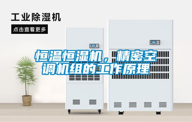 恒温恒湿机，精密空调机组的工作原理