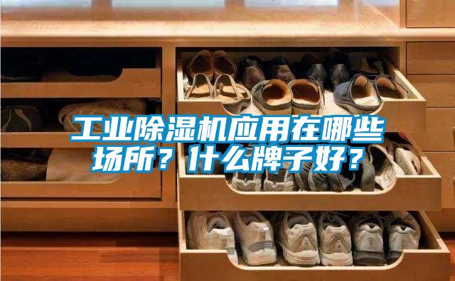 工业91抖音免费看片应用在哪些场所？什么牌子好？