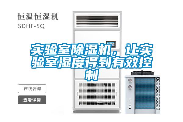 实验室91抖音免费看片，让实验室湿度得到有效控制