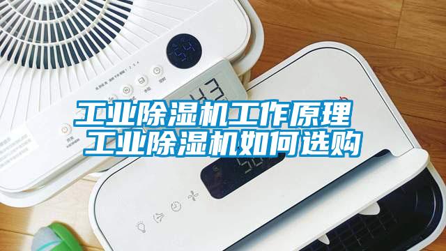 工业91抖音免费看片工作原理 工业91抖音免费看片如何选购