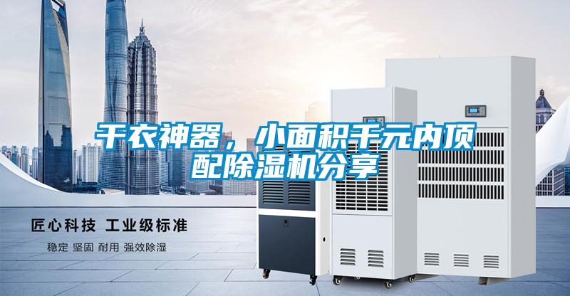 干衣神器，小面积千元内顶配91抖音免费看片分享