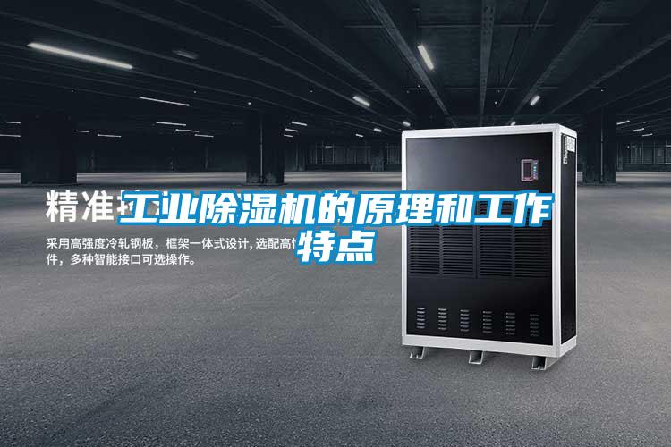 工业91抖音免费看片的原理和工作特点