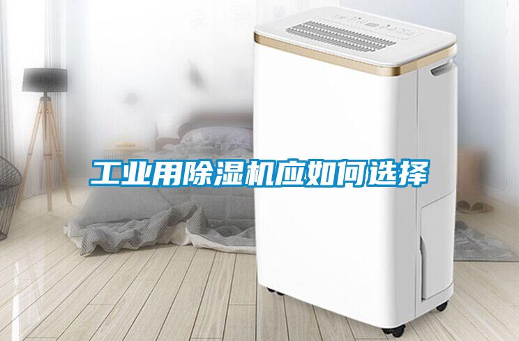 工业用91抖音免费看片应如何选择