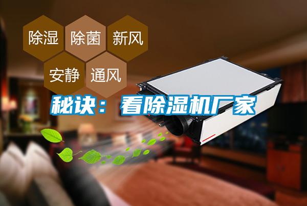 秘诀：看91抖音免费看片厂家