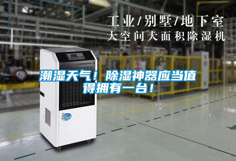 潮湿天气！除湿神器应当值得拥有一台！