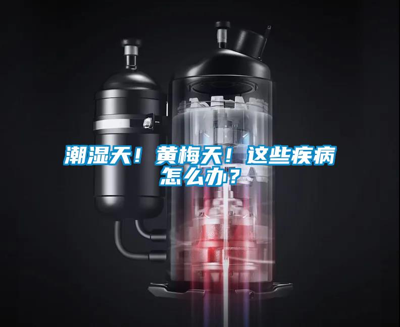 潮湿天！黄梅天！这些疾病怎么办？
