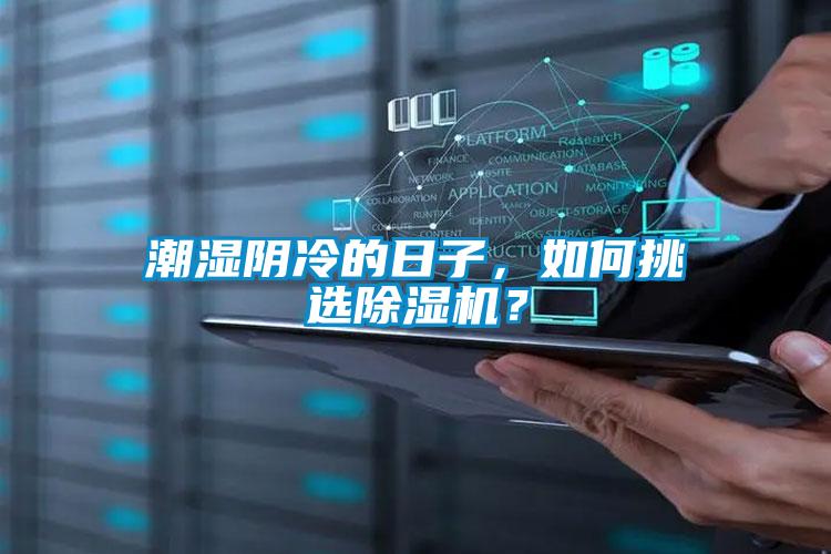 潮湿阴冷的日子，如何挑选91抖音免费看片？